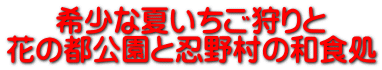 希少な夏いちご狩りと 花の都公園と忍野村の和食処