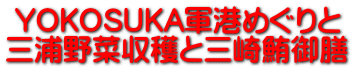 YOKOSUKA軍港めぐりと 三浦野菜収穫と三崎鮪御膳